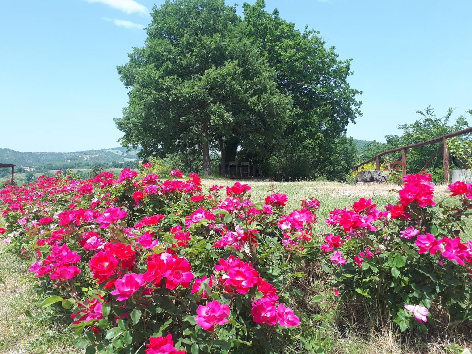 Agriturismo Molleone Cagli Buitenkant foto
